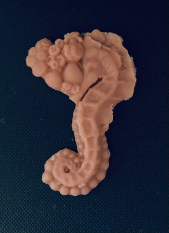 Seahorse Gelatin Prothetic