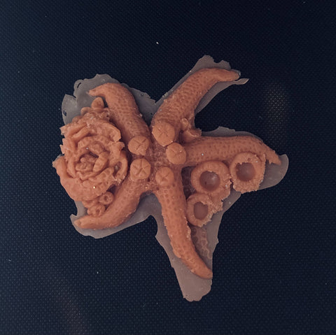 Starfish Gelatin Prosthetic